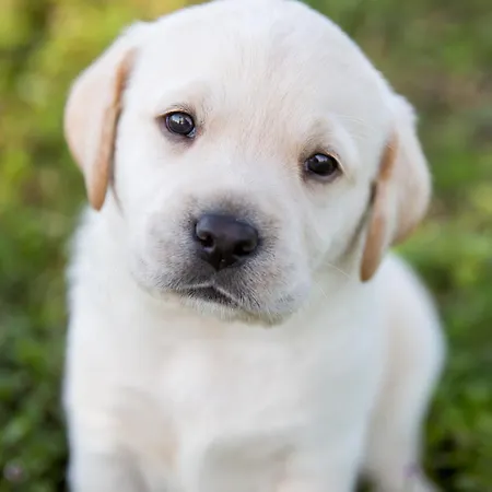 Διαμέρισμα Chavs Place To Stay.